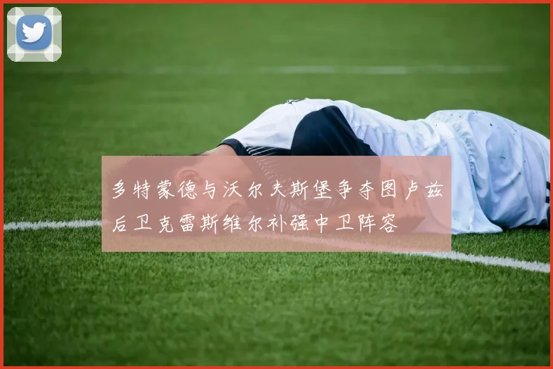 多特蒙德与沃尔夫斯堡争夺图卢兹后卫克雷斯维尔补强中卫阵容