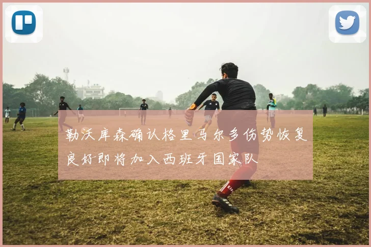 勒沃库森确认格里马尔多伤势恢复良好即将加入西班牙国家队