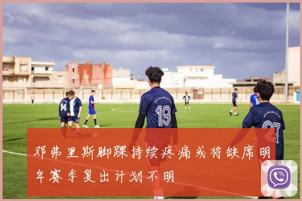 邓弗里斯脚踝持续疼痛或将缺席明年赛季复出计划不明